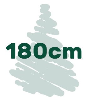 Artificial Christmas trees in height of 180 cm