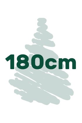 Artificial Christmas trees in height of 180 cm