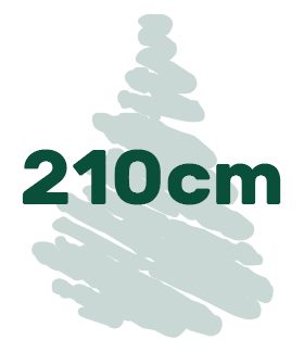 Artificial Christmas trees in height of 210 cm