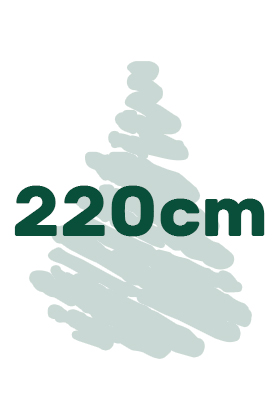 Artificial Christmas trees in height of 220 cm