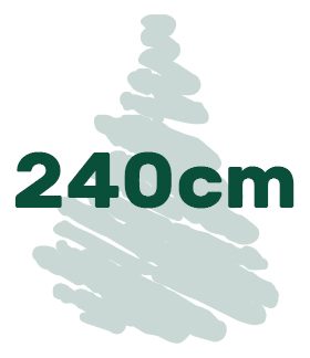 Artificial Christmas trees in height of 240 cm