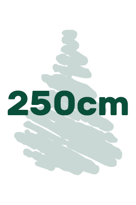 Artificial Christmas trees in height of 250 cm