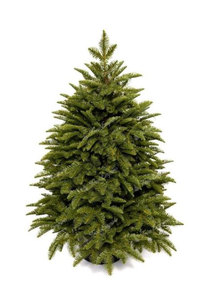 Artificial Christmas potted tree Caucasian Fir 100% PE