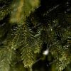 Artificial Christmas Potted Tree Alpine Spruce 100% PE