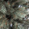 Artificial Christmas Tree Blue Spruce Slim PE