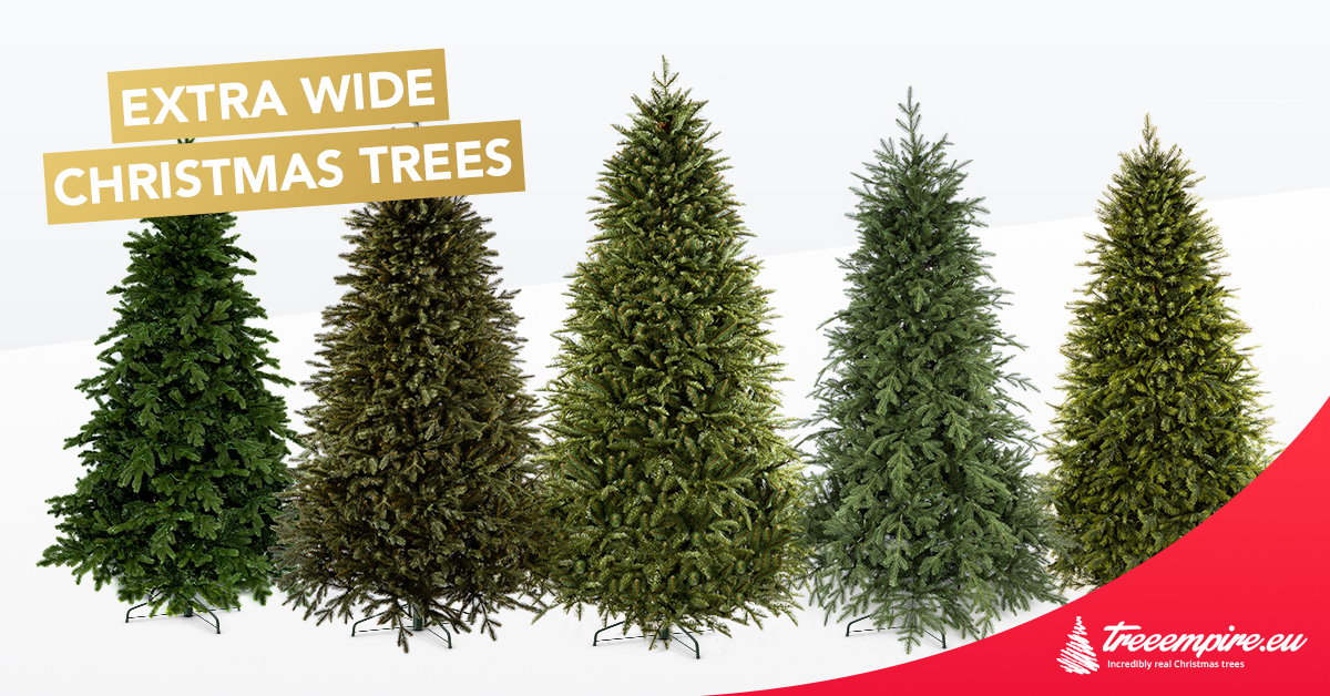 Extra wide Christmas trees | Tree Empire